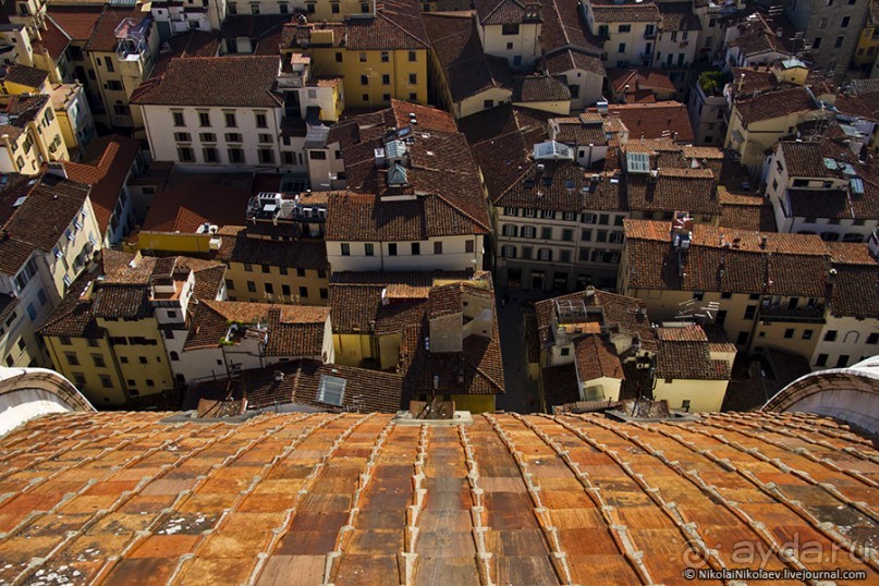 Альбом отзыва "Флоренция: красотища, желудок и гопник (Florence, Italy)"