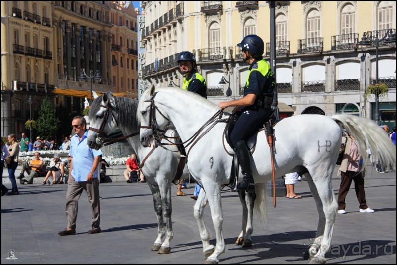 Альбом отзыва "Мадрид за 10 часов (Madrid, Spain)"