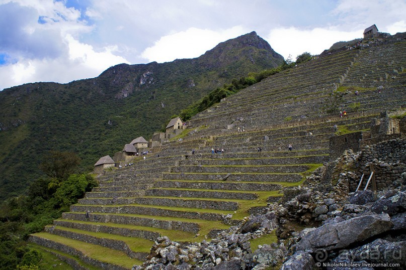 Альбом отзыва "Покорение Америки. Часть 16. День 14+15: На старой горе (Machu Picchu, Peru)"