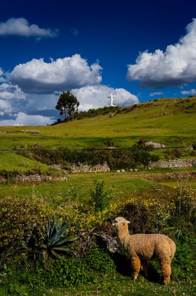 Альбом отзыва "Покорение Америки. Часть 7. День 6: Chau, Cuzco! (Cuzco, Peru)"