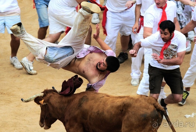 Альбом отзыва "Энсьерро — адреналиновое безумство (Pamplona, Spain)"