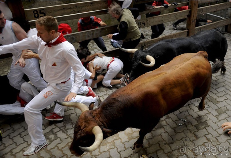 Альбом отзыва "Энсьерро — адреналиновое безумство (Pamplona, Spain)"