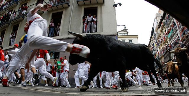 Альбом отзыва "Энсьерро — адреналиновое безумство (Pamplona, Spain)"