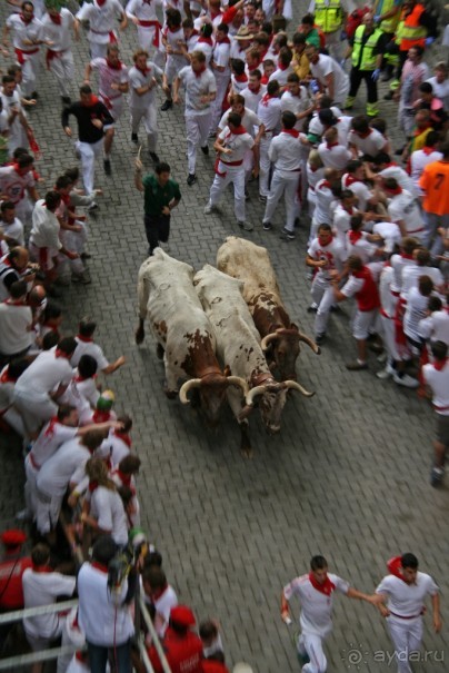 Альбом отзыва "Энсьерро — адреналиновое безумство (Pamplona, Spain)"