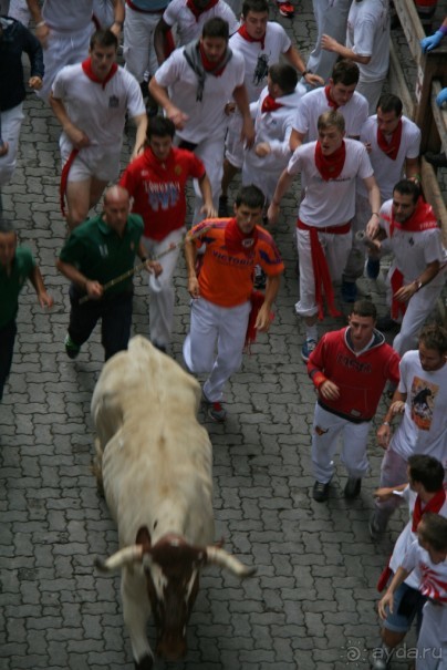 Альбом отзыва "Энсьерро — адреналиновое безумство (Pamplona, Spain)"