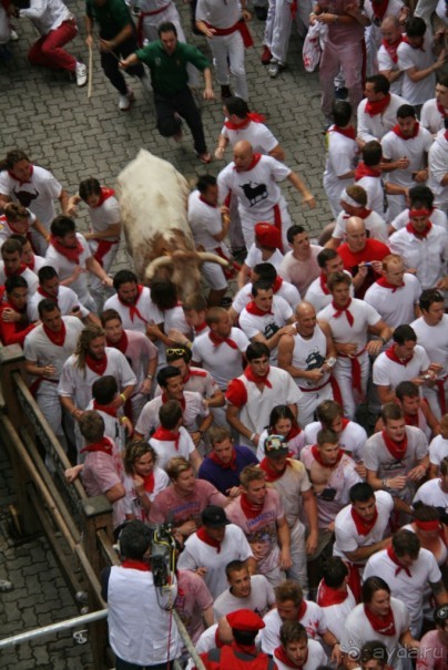 Альбом отзыва "Энсьерро — адреналиновое безумство (Pamplona, Spain)"