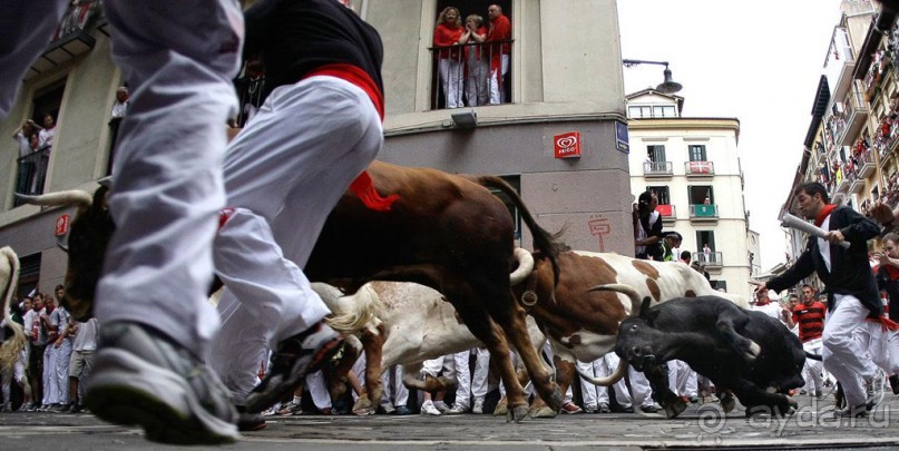 Альбом отзыва "Энсьерро — адреналиновое безумство (Pamplona, Spain)"