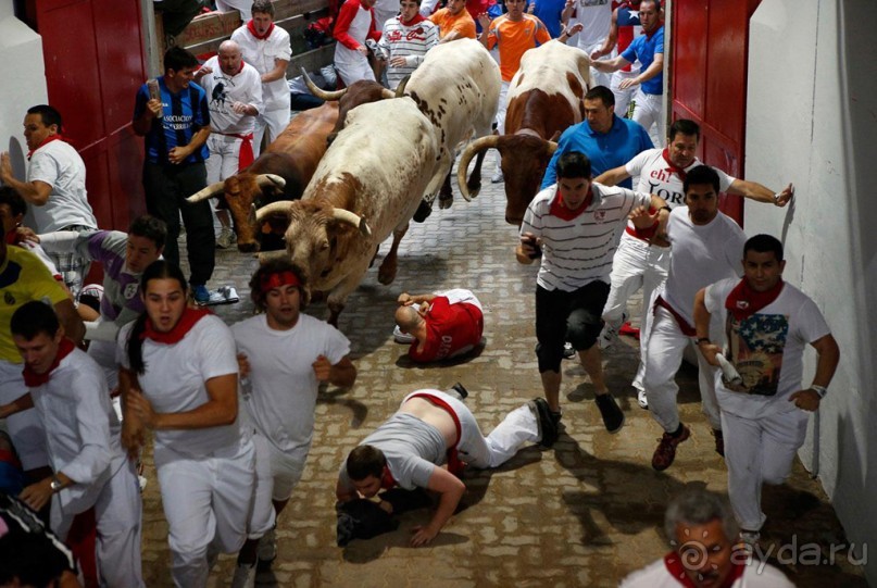 Альбом отзыва "Энсьерро — адреналиновое безумство (Pamplona, Spain)"