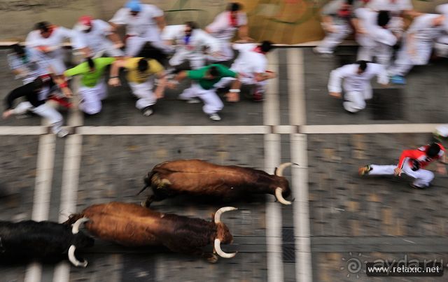 Альбом отзыва "Энсьерро — адреналиновое безумство (Pamplona, Spain)"