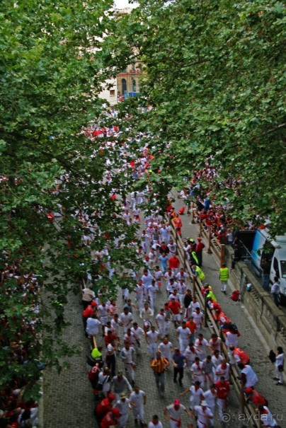 Альбом отзыва "Энсьерро — адреналиновое безумство (Pamplona, Spain)"