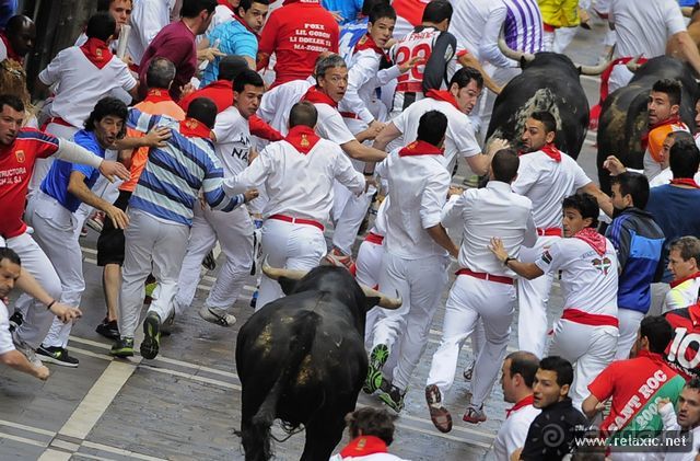 Альбом отзыва "Энсьерро — адреналиновое безумство (Pamplona, Spain)"