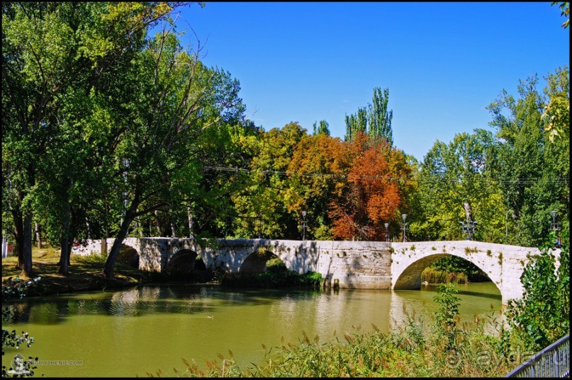 Альбом отзыва "Паленсия (Palencia, Spain)"