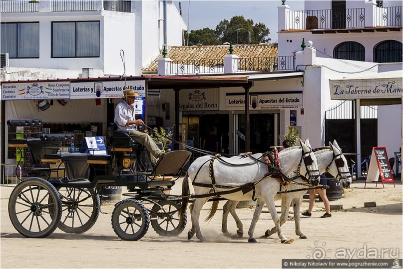 Альбом отзыва "Дикая Испания в Эль Росио (El Rocío, Spain)"