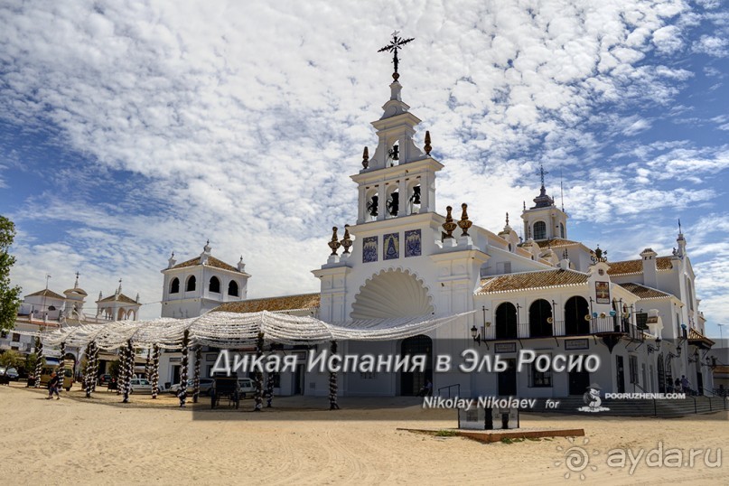 Альбом отзыва "Дикая Испания в Эль Росио (El Rocío, Spain)"