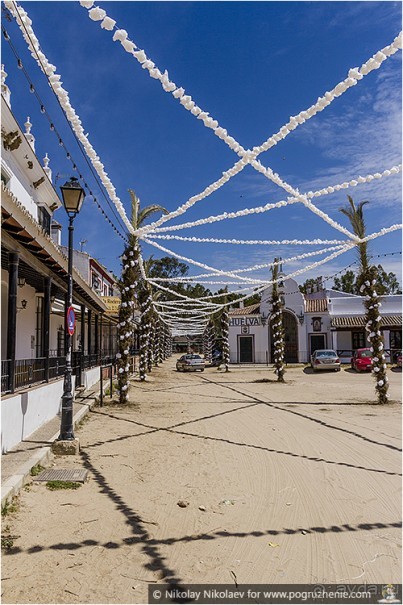 Альбом отзыва "Дикая Испания в Эль Росио (El Rocío, Spain)"