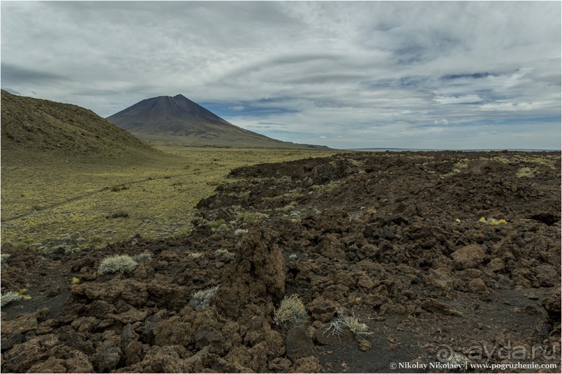 Альбом отзыва "Паюния: планета вулканов (Payunia, Mendoza province, Argentina)"