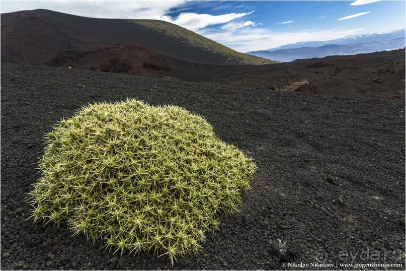 Альбом отзыва "Паюния: планета вулканов (Payunia, Mendoza province, Argentina)"