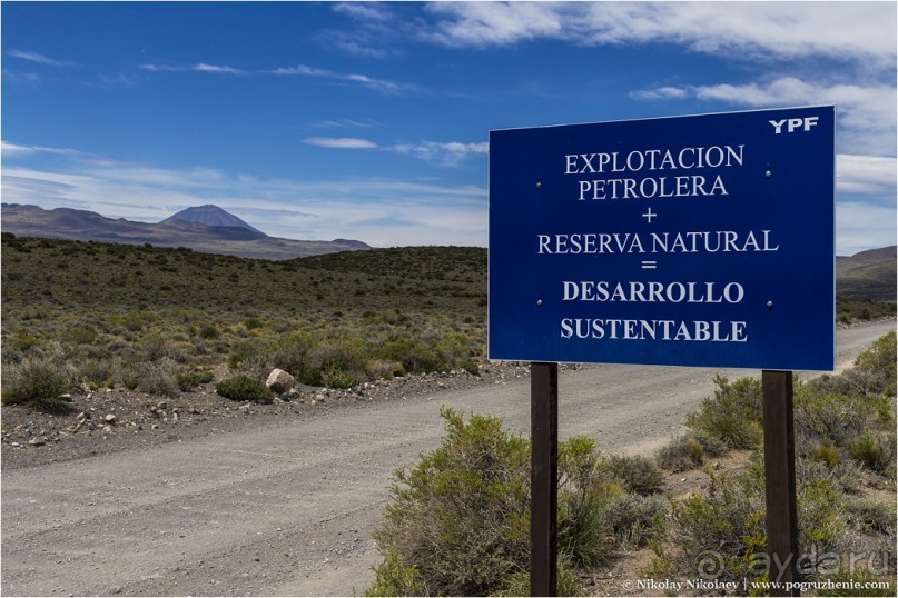 Альбом отзыва "Паюния: планета вулканов (Payunia, Mendoza province, Argentina)"