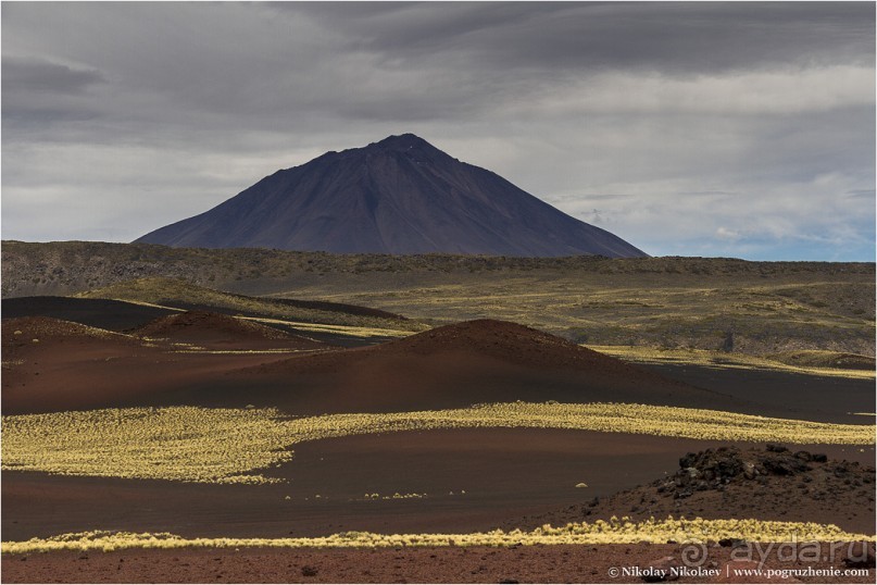 Альбом отзыва "Паюния: планета вулканов (Payunia, Mendoza province, Argentina)"