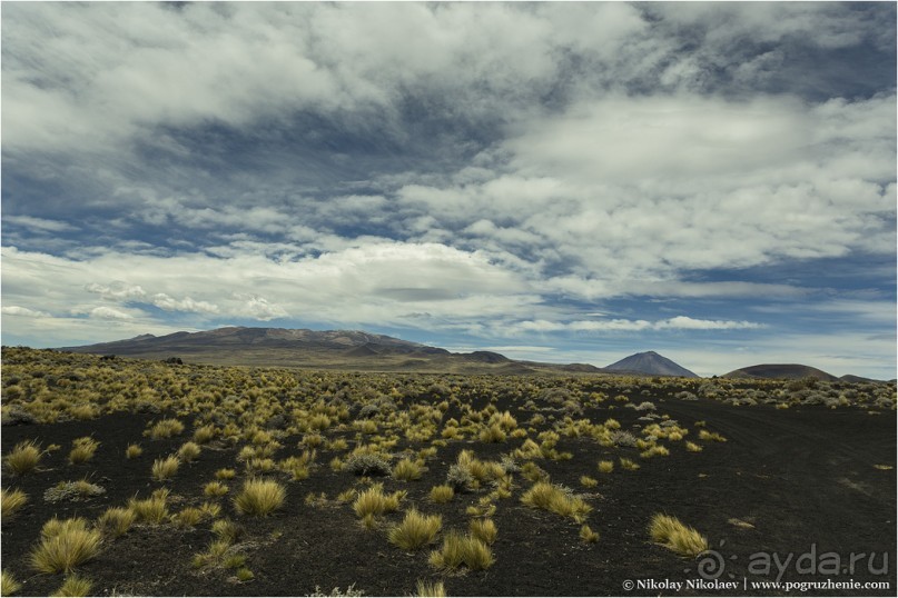 Альбом отзыва "Паюния: планета вулканов (Payunia, Mendoza province, Argentina)"