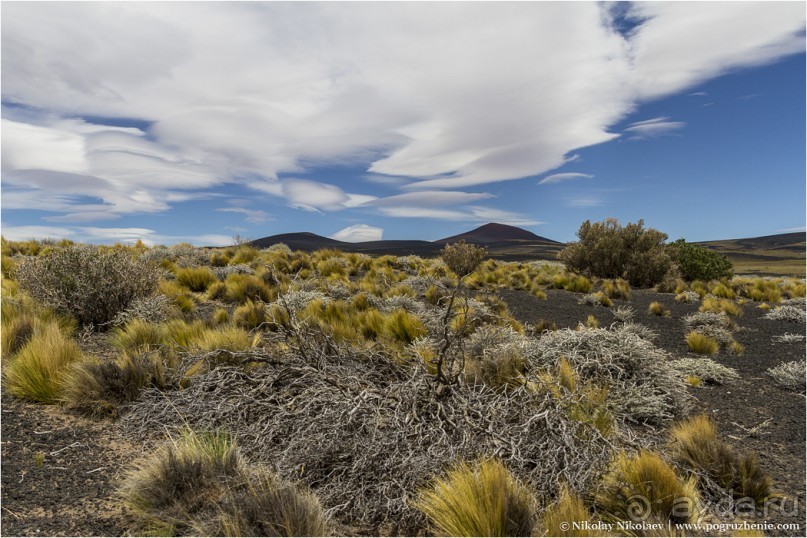 Альбом отзыва "Паюния: планета вулканов (Payunia, Mendoza province, Argentina)"