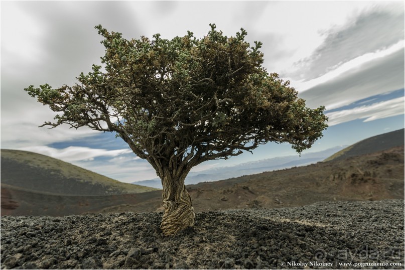 Альбом отзыва "Паюния: планета вулканов (Payunia, Mendoza province, Argentina)"