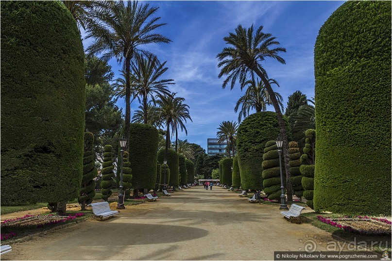 Альбом отзыва "Желанный Кадис (Сadiz, Spain)"