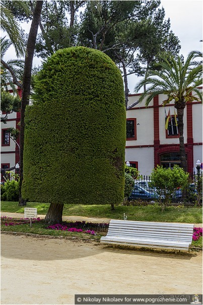 Альбом отзыва "Желанный Кадис (Сadiz, Spain)"