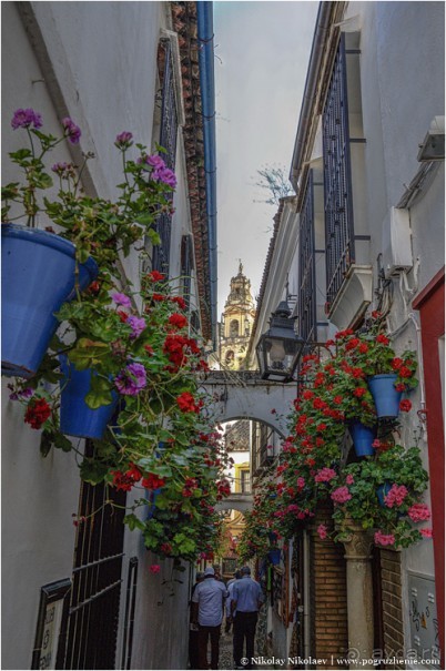 Альбом отзыва "Кордова: неугасающая столица (Cordoba, Spain)"