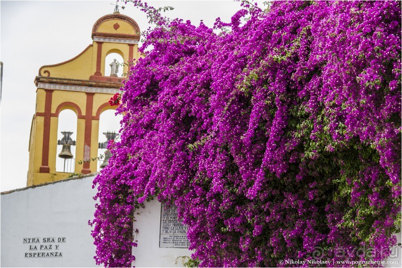 Альбом отзыва "Кордова: неугасающая столица (Cordoba, Spain)"