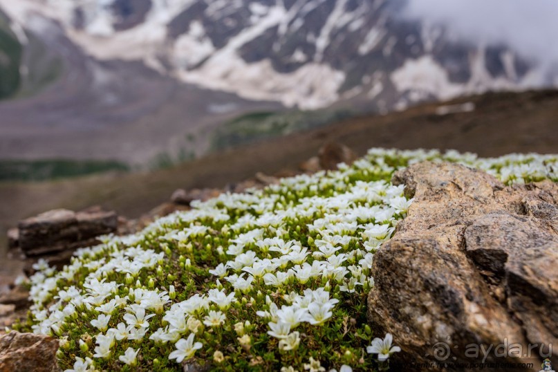 Альбом отзыва "Эльбрус, часть 1: Чегет (Cheget, Russia)"