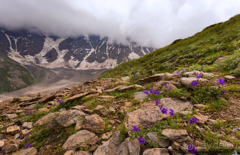 Альбом отзыва "Эльбрус, часть 1: Чегет (Cheget, Russia)"