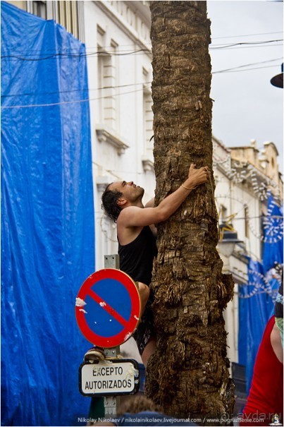 Альбом отзыва "Томатина 2013 (часть 1) (Buñol, Spain)"