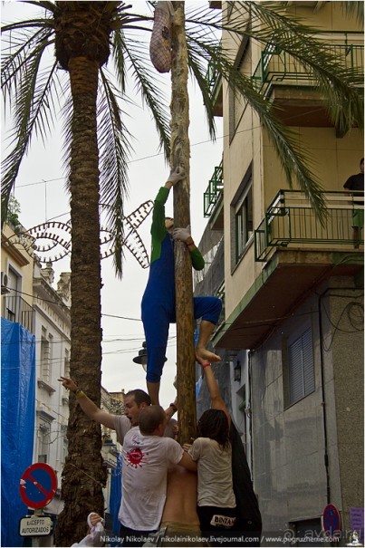 Альбом отзыва "Томатина 2013 (часть 1) (Buñol, Spain)"