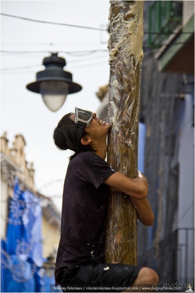 Альбом отзыва "Томатина 2013 (часть 1) (Buñol, Spain)"