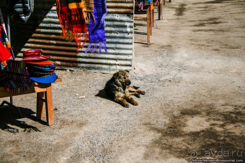 Альбом отзыва "Покорение Америки. Часть 14. День 12: Белое озеро смерти (Uyuni, Bolivia)"