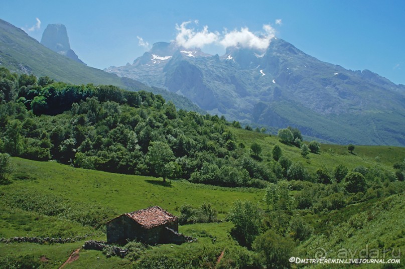 Альбом отзыва "Альпийские луга Астуриаса (Asturias, Spain)"