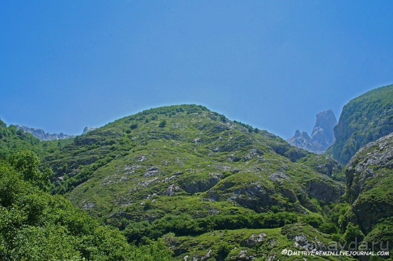 Альбом отзыва "Альпийские луга Астуриаса (Asturias, Spain)"