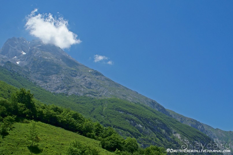 Альбом отзыва "Альпийские луга Астуриаса (Asturias, Spain)"