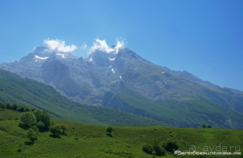 Альбом отзыва "Альпийские луга Астуриаса (Asturias, Spain)"