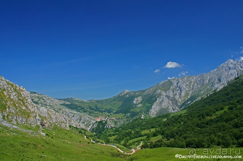 Альбом отзыва "Альпийские луга Астуриаса (Asturias, Spain)"