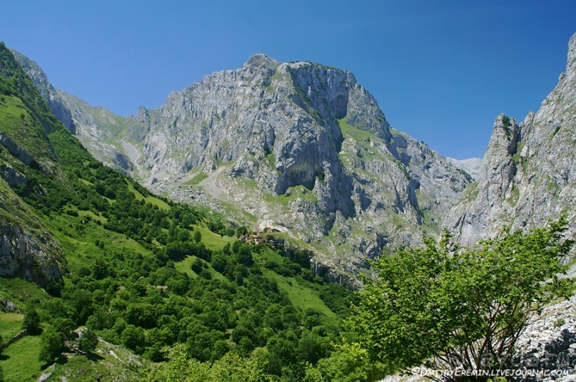 Альбом отзыва "Альпийские луга Астуриаса (Asturias, Spain)"