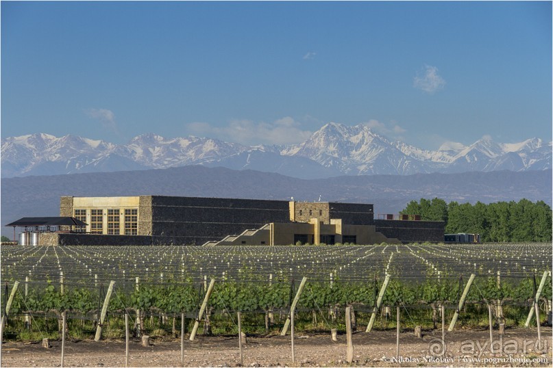 Альбом отзыва "Мендоса: грязи, горы и вино (Mendoza, Argentina)"