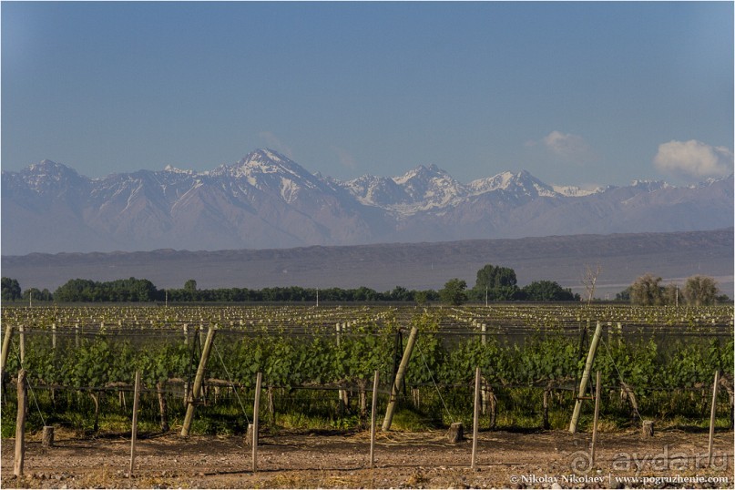 Альбом отзыва "Мендоса: грязи, горы и вино (Mendoza, Argentina)"