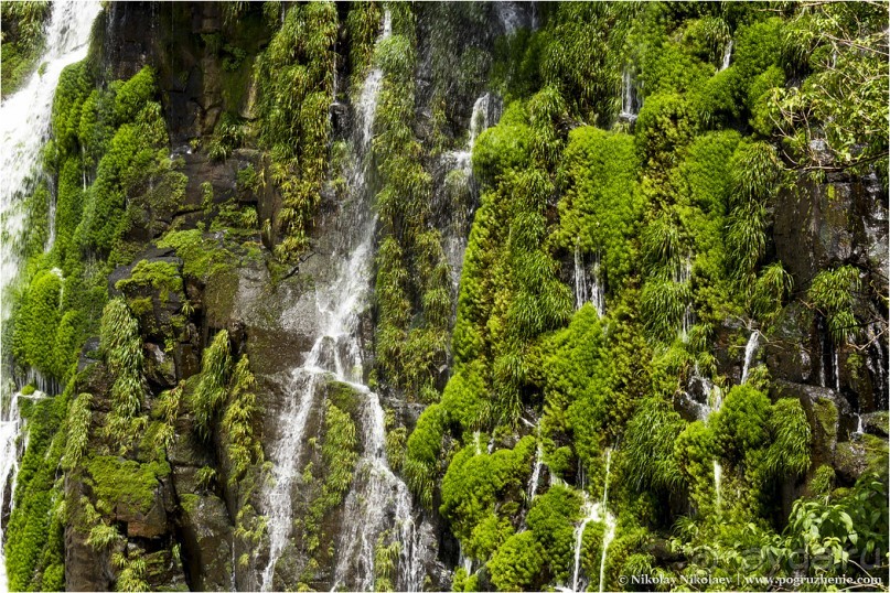 Альбом отзыва "Водопады Игуасу: самое мокрое чудо света (Puerto Iguazu, Argentina)"