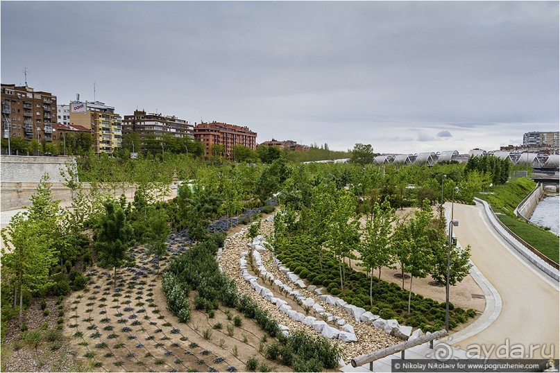 Альбом отзыва "А в Мадриде есть река! (Madrid, Spain)"