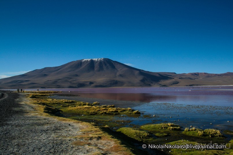 Альбом отзыва "Покорение Америки ч-12. День 10: Марсианская сага 2 (Near Eduardo Avaroa National Reserve, Bolivia)"