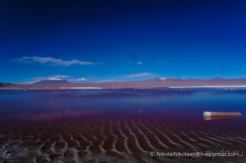 Альбом отзыва "Покорение Америки ч-12. День 10: Марсианская сага 2 (Near Eduardo Avaroa National Reserve, Bolivia)"