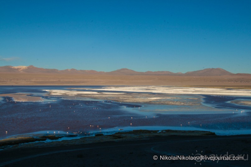 Альбом отзыва "Покорение Америки ч-12. День 10: Марсианская сага 2 (Near Eduardo Avaroa National Reserve, Bolivia)"