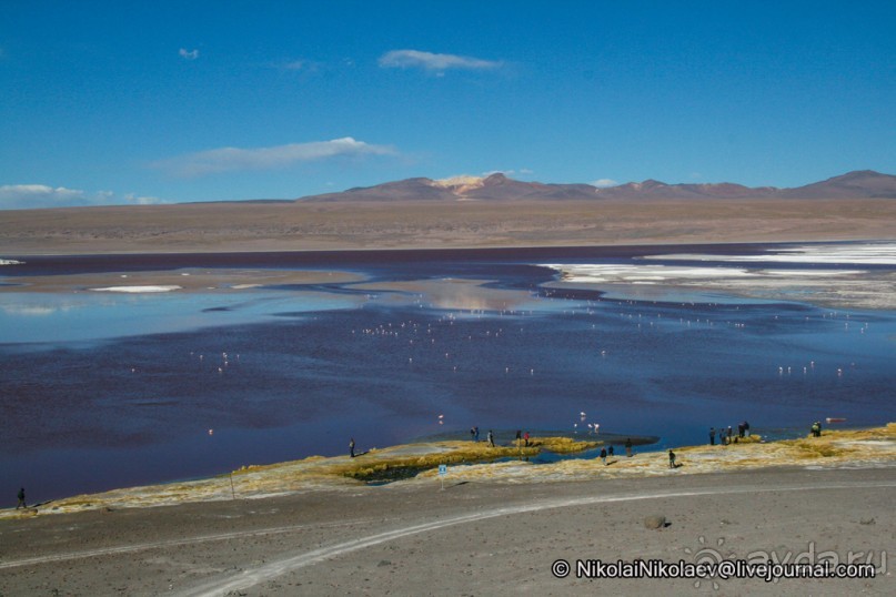 Альбом отзыва "Покорение Америки ч-12. День 10: Марсианская сага 2 (Near Eduardo Avaroa National Reserve, Bolivia)"